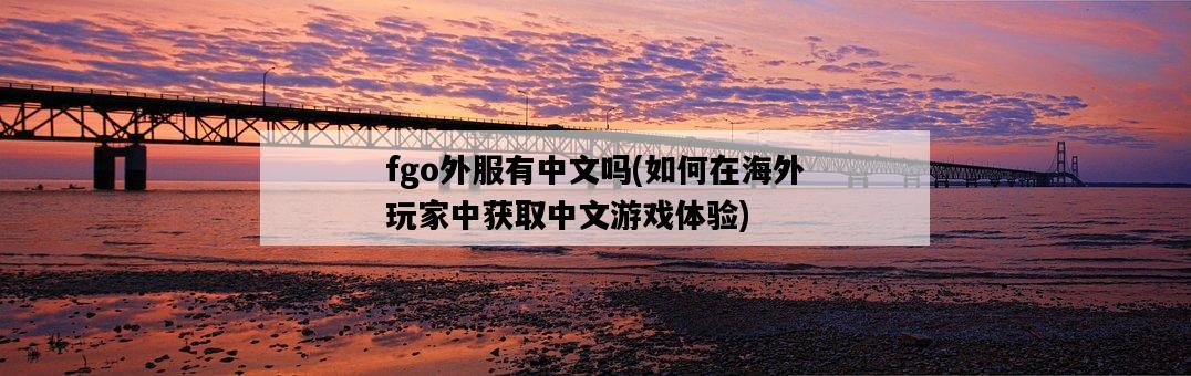 fgo外服有中文嗎，如何在海外玩家中獲取中文游戲體驗-圖1