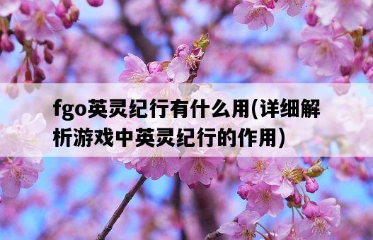 fgo英靈紀行有什么用，詳細解析游戲中英靈紀行的作用-圖1