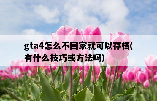 gta4怎么不回家就可以存檔，有什么技巧或方法嗎-圖1