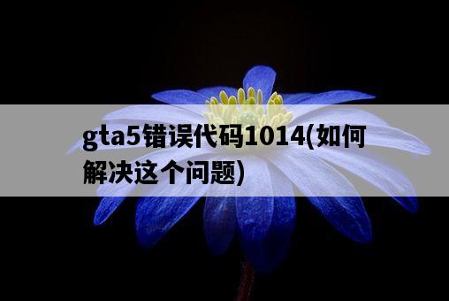 gta5錯誤代碼1014，如何解決這個問題-圖1