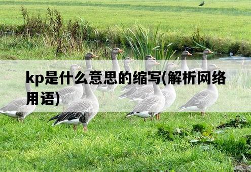 kp是什么意思的縮寫，解析網絡用語-圖1