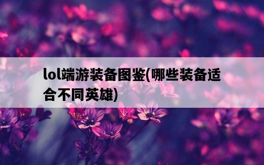 lol端游裝備圖鑒，哪些裝備適合不同英雄-圖1