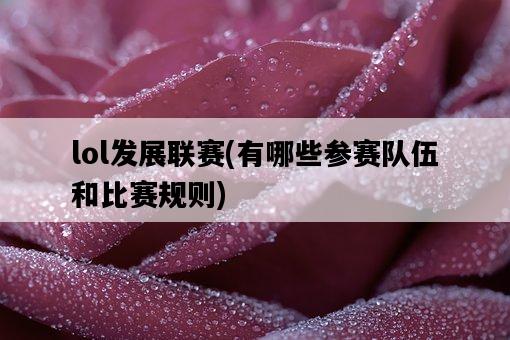 lol發展聯賽，有哪些參賽隊伍和比賽規則-圖1
