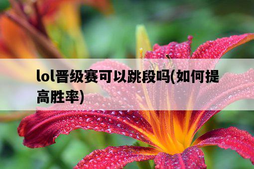 lol晉級賽可以跳段嗎，如何提高勝率-圖1