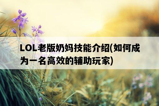 LOL老版奶媽技能介紹，如何成為一名高效的輔助玩家-圖1