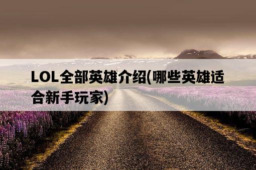 LOL全部英雄介紹，哪些英雄適合新手玩家-圖1