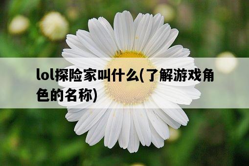 lol探險家叫什么，了解游戲角色的名稱-圖1
