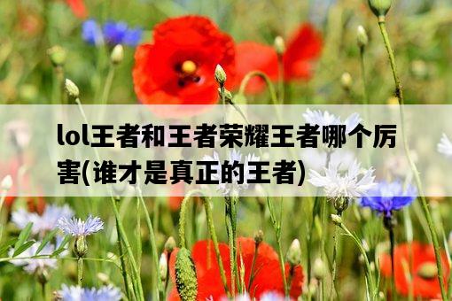 lol王者和王者榮耀王者哪個厲害，誰才是真正的王者-圖1