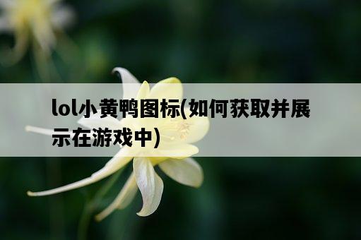 lol小黃鴨圖標，如何獲取并展示在游戲中-圖1