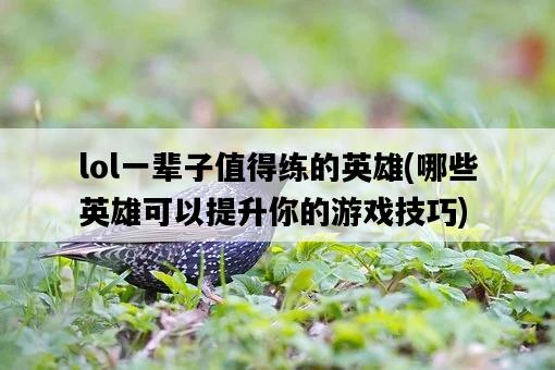 lol一輩子值得練的英雄，哪些英雄可以提升你的游戲技巧-圖1