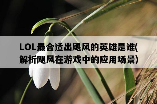 LOL最合適出颶風的英雄是誰，解析颶風在游戲中的應用場景-圖1