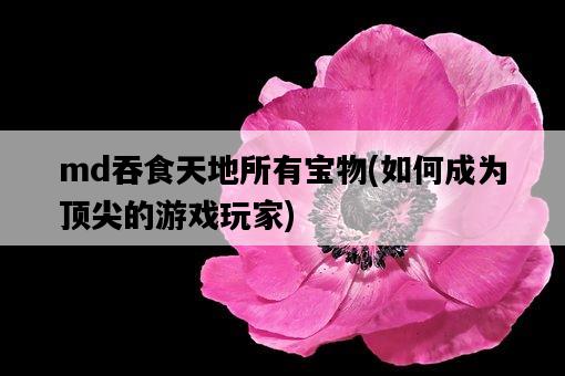 md吞食天地所有寶物，如何成為頂尖的游戲玩家-圖1