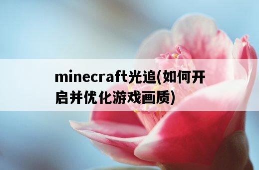 minecraft光追，如何開啟并優化游戲畫質-圖1
