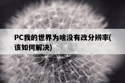 PC我的世界為啥沒有改分辨率，該如何解決-圖1