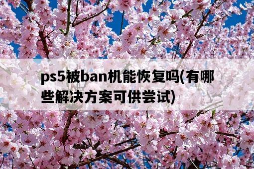 ps5被ban機能恢復嗎，有哪些解決方案可供嘗試-圖1