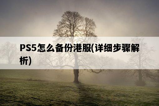 PS5怎么備份港服，詳細步驟解析-圖1