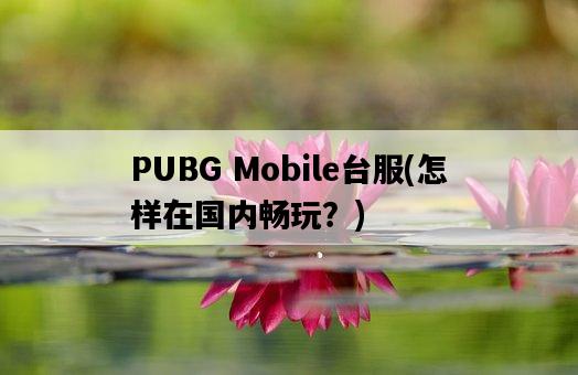 PUBG Mobile臺服，怎樣在國內暢玩？-圖1