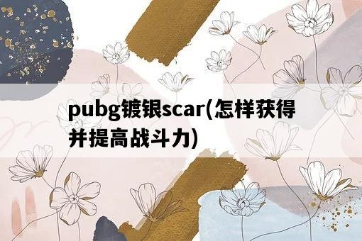 pubg鍍銀scar，怎樣獲得并提高戰斗力-圖1