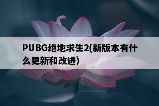PUBG絕地求生2，新版本有什么更新和改進-圖1