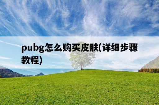 pubg怎么購買皮膚，詳細步驟教程-圖1
