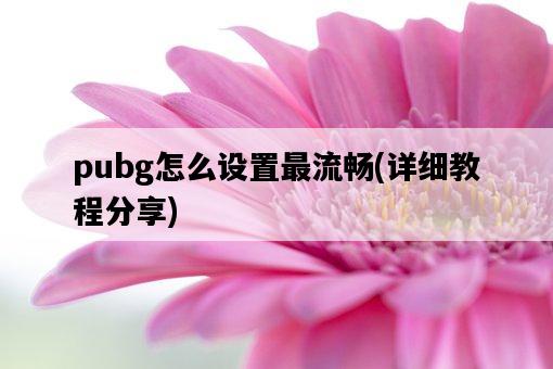 pubg怎么設置最流暢，詳細教程分享-圖1