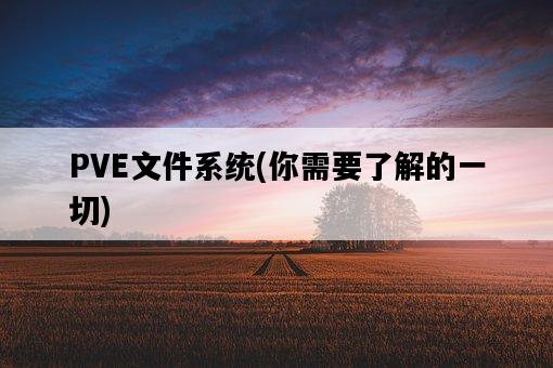 PVE文件系統，你需要了解的一切-圖1