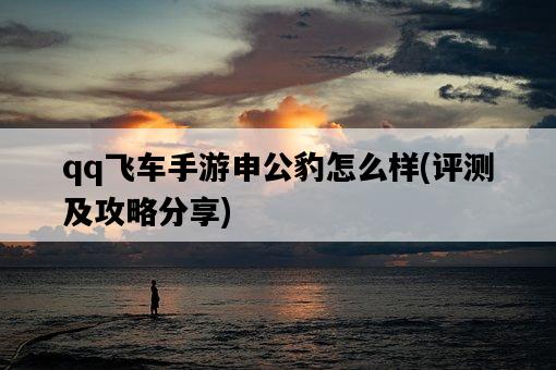 qq飛車手游申公豹怎么樣，評測及攻略分享-圖1