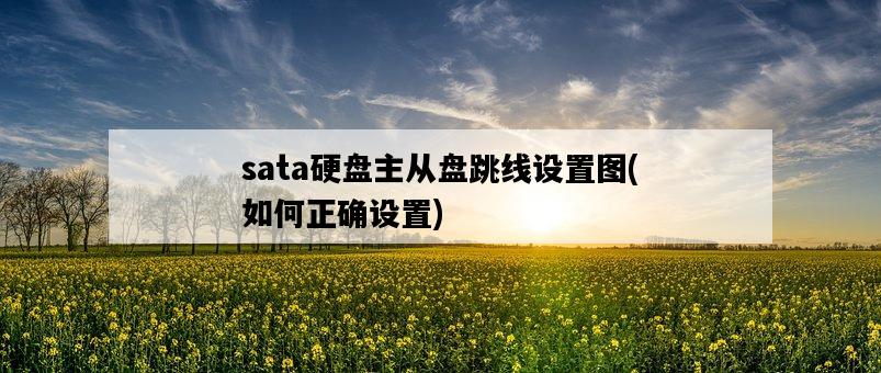 sata硬盤主從盤跳線設置圖，如何正確設置-圖1