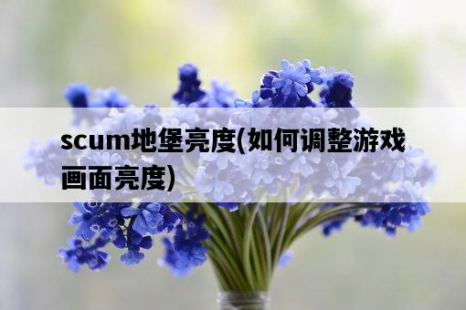 scum地堡亮度，如何調整游戲畫面亮度-圖1