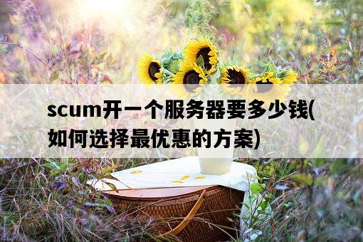 scum開一個服務器要多少錢，如何選擇最優惠的方案-圖1