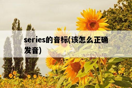 series的音標，該怎么正確發音-圖1