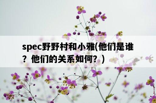 spec野野村和小雅，他們是誰？他們的關系如何？-圖1
