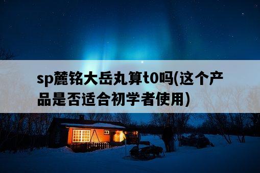sp麓銘大岳丸算t0嗎，這個產品是否適合初學者使用-圖1