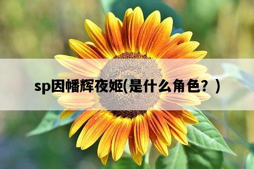 sp因幡輝夜姬，是什么角色？-圖1