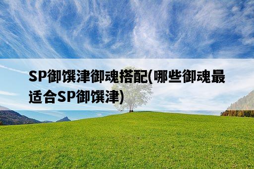 SP御饌津御魂搭配，哪些御魂最適合SP御饌津-圖1