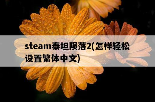 steam泰坦隕落2，怎樣輕松設置繁體中文-圖1