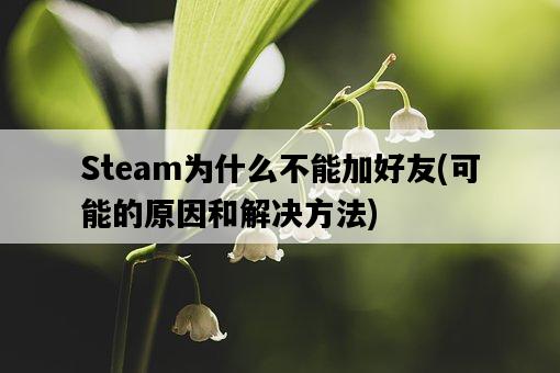 Steam為什么不能加好友，可能的原因和解決方法-圖1