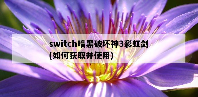 switch暗黑破壞神3彩虹劍，如何獲取并使用-圖1