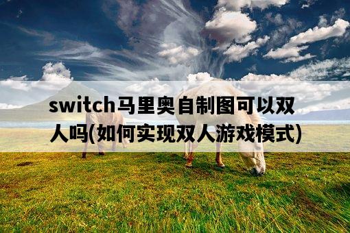 switch馬里奧自制圖可以雙人嗎，如何實現雙人游戲模式-圖1