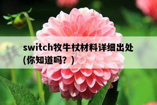 switch牧牛杖材料詳細出處，你知道嗎？-圖1
