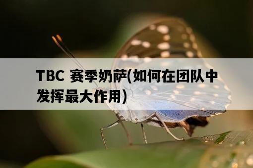 TBC 賽季奶薩，如何在團隊中發揮最大作用-圖1