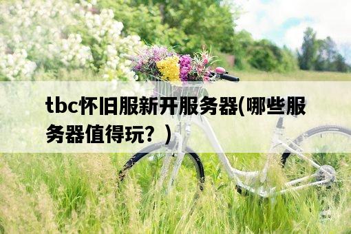 tbc懷舊服新開服務器，哪些服務器值得玩？-圖1