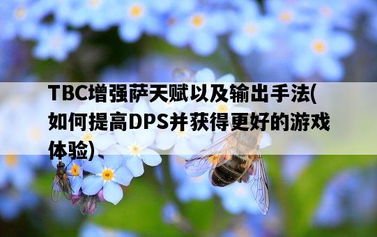 TBC增強薩天賦以及輸出手法，如何提高DPS并獲得更好的游戲體驗-圖1