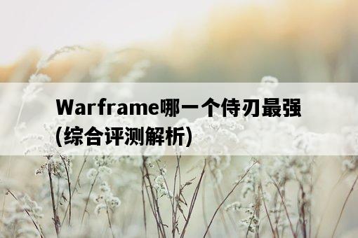 Warframe哪一個侍刃最強，綜合評測解析-圖1