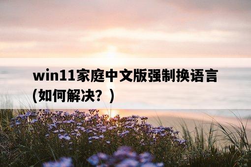 win11家庭中文版強制換語言，如何解決？-圖1