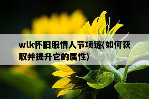 wlk懷舊服情人節項鏈，如何獲取并提升它的屬性-圖1