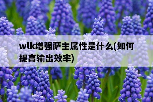 wlk增強薩主屬性是什么，如何提高輸出效率-圖1