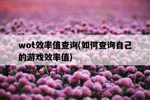 wot效率值查詢，如何查詢自己的游戲效率值-圖1