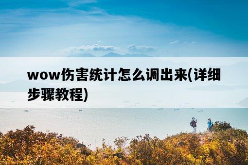wow傷害統計怎么調出來，詳細步驟教程-圖1