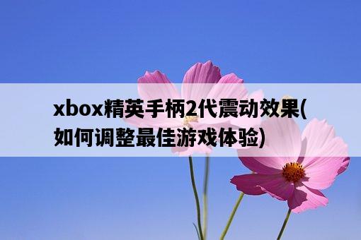 xbox精英手柄2代震動效果，如何調整最佳游戲體驗-圖1